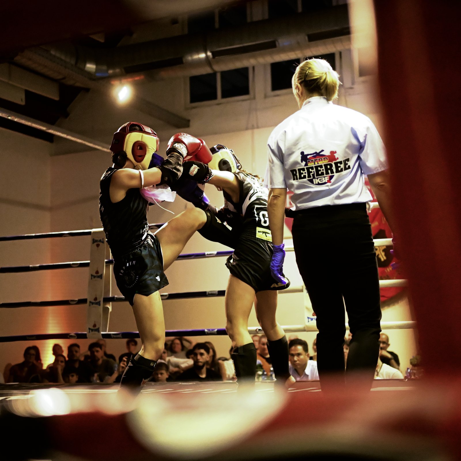 Training: Fight Team Training im Tops Gym bei Landau