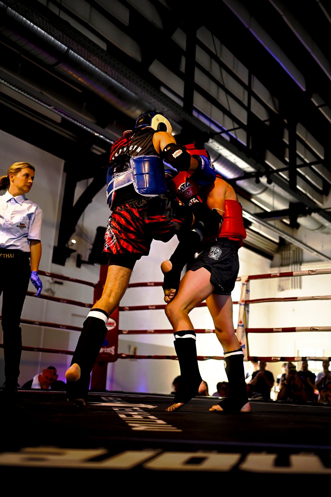Training: Fight Team Training im Tops Gym bei Landau